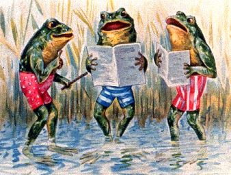 Frogs